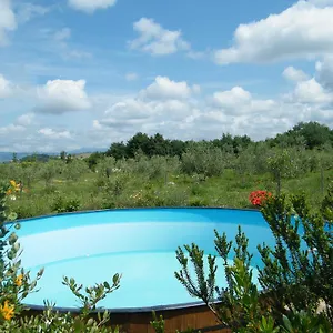 agriturismo-sant-antonio.it-tuscanyhotel.com/